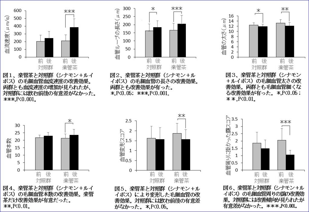 「楽管茶」群と「シナモン＋ルイボス」群における各変数の平均値の比較統計図
