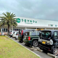 うるま市のうるマルシェ楽管茶販売開始