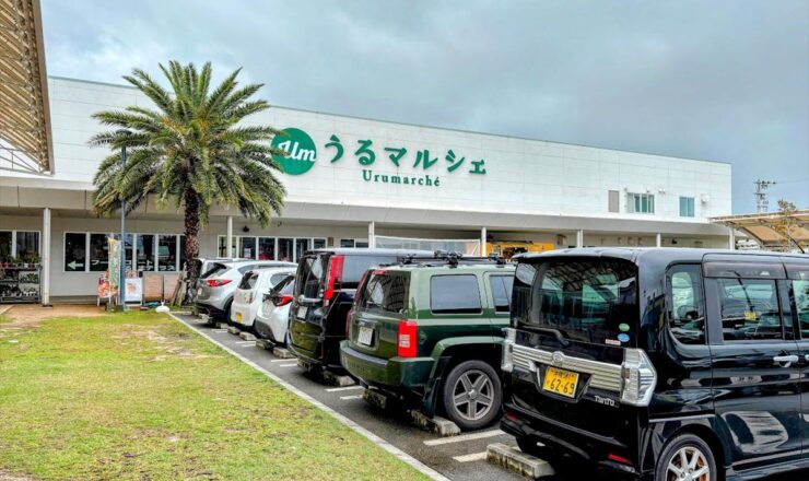 販売開始】うるま市のうるマルシェ – 日本亜健康研究所株式会社
